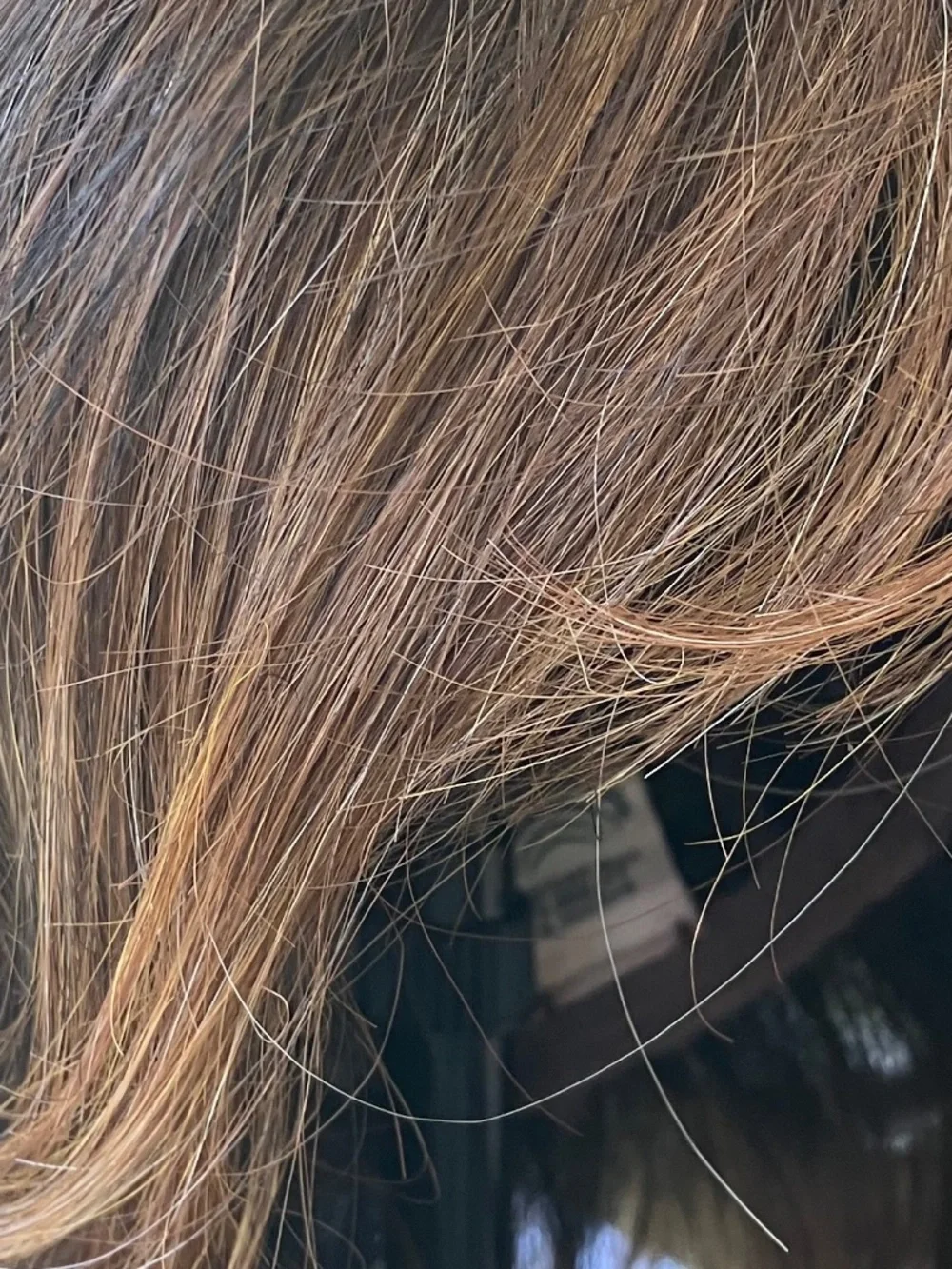 Raquel Welch Brown Highlighted Wig